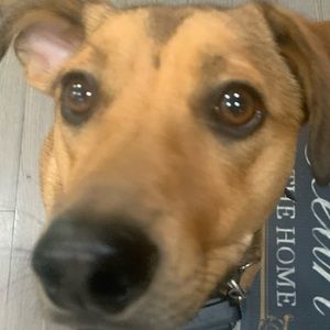 Meet your Posher, Adrianna